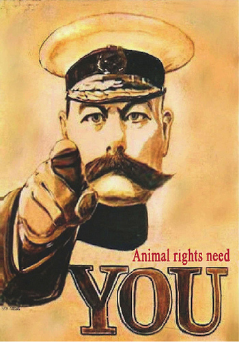 动物权利需要你