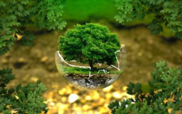 一个破碎的玻璃球，里面有一棵小树，被绿色和自然包围着。