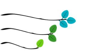 3个分支象征着不同的等级:3片蓝色叶子，2片深绿色叶子和1片浅绿色叶子