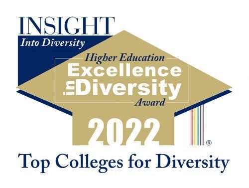 高等教育卓越多样性奖标志